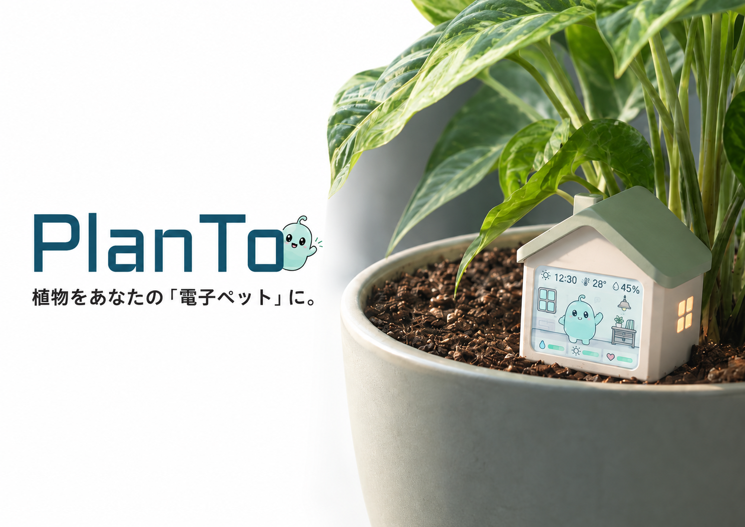 PlanTo research cover